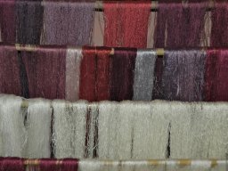 La_Palma_Lanzarote_2003-2004-003